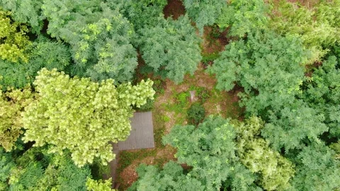 Seoul Han River Nodeul Island Forest 스톡 동영상 136365939