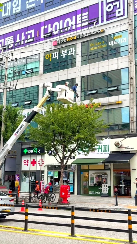 Seoul, October 10, 2025 Workers trim trees in front of a commercial building Stock Footage 319087737
