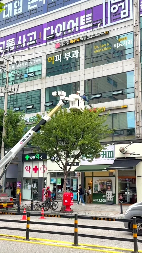Seoul, October 10, 2025. Workers prune trees using a hydraulic lift in front of Stock Footage 319088230