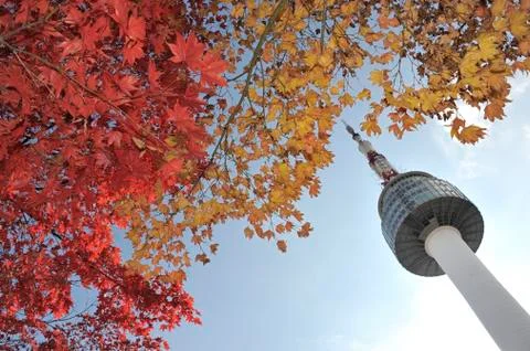 Seoul Tower Stock Photos