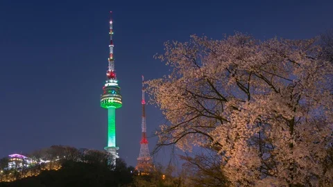 Seoul tower at Spring time at night with cherry blossom tree Stock Footage 109220428