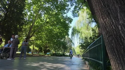 SEP 14.2026.CHINA.Low Angle View of Pedestrians Walking in Park Stock Footage 345471017