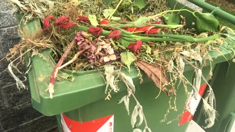 Separate collection or separation of waste in such a way as to Stock Footage 136591623