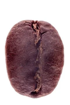 Separate grains of roasted coffee. Stock Photos