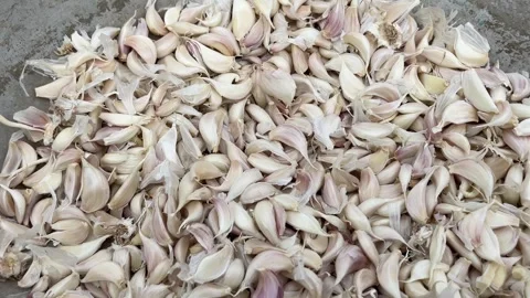 Separated Garlic Cloves Ready for Planting and Cooking Use Video stock 319977965