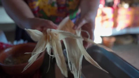 Separating the Corn Cob Leaf Stock Footage 293164485