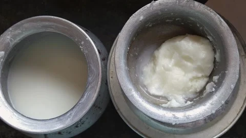 Separating Cultured Milk Fats Using Traditional Indian Churning methods to yield Stock Footage 345302585