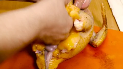 Separating the fat from the chicken's inners Vidéo 78875569
