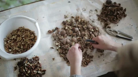 Separating kernels from shells Stock Footage 26188186