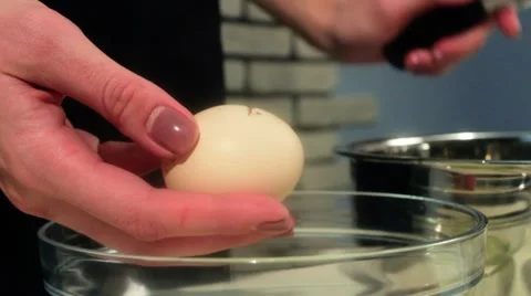 Separating yolk and white of the white shell egg with woman hands  Stock Footage 68909049