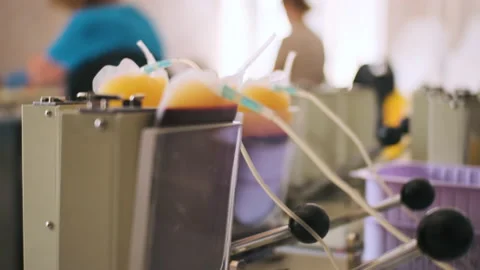 Separation of blood into plasma in plastic bag. Special medical device for Video stock 158583168