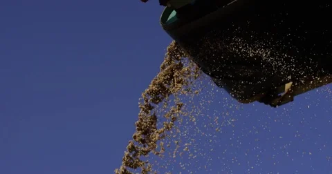 Separation of sand. Sand, stones and soil going up on conveyor belt, then Stock Footage 82245478