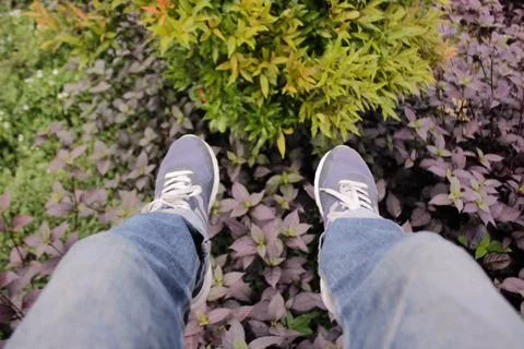Sepatu & denim Stock Photos