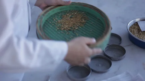 Seperate seeds Video stock 127891016