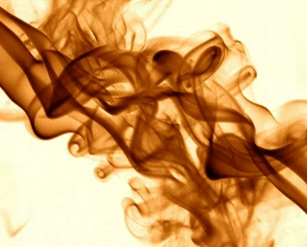 Sephia Curl 库存影片 104860