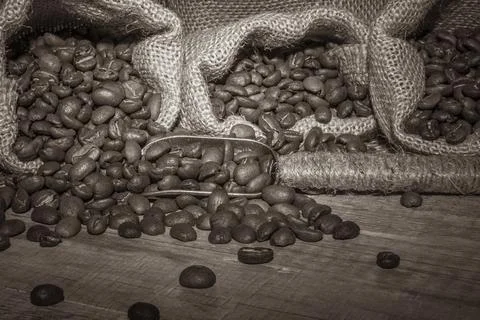 Sepia. Coffee beans. Stock Photos