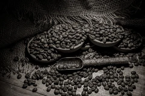 Sepia. Coffee beans. Stock Photos