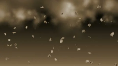 Sepia Leaves Blowing in the Wind Stock Footage