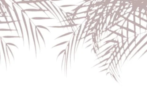 Sepia Palm Leaf Tropical Background Vector Illustration 스톡 일러스트