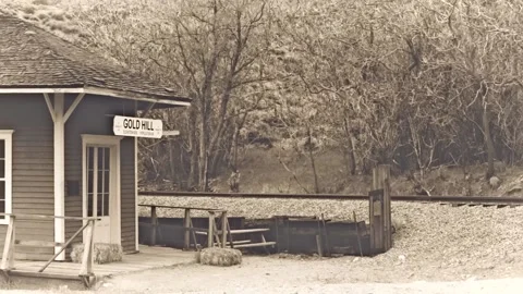 Sepia Steam Train - 1 Stock Footage 201108964