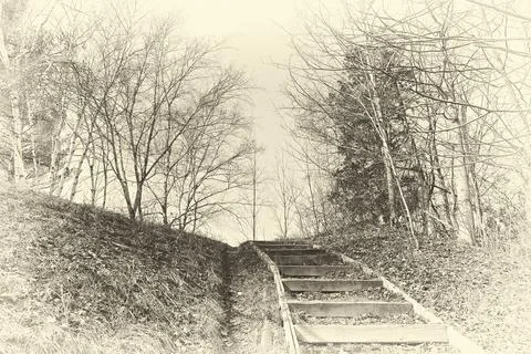 The sepia tone of Low angle view of the step in a National park in Canada. Stock Photos