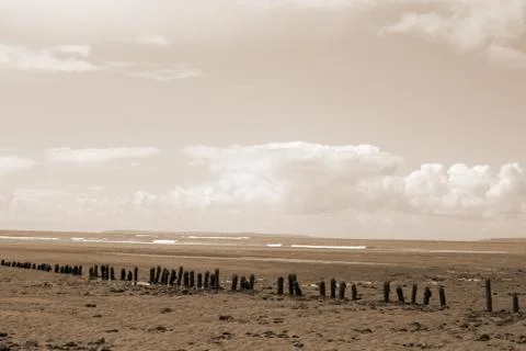 Sepia wave breakers Stock Photos