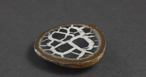 Septaria on a dark background. Turtle stone. Dragonstone. Видео 163814065