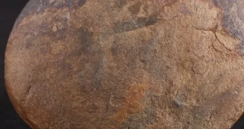Septaria. Turtle stone. Dragonstone. Close-up of the structure of the stone. Stockbeeldmateriaal 165267054