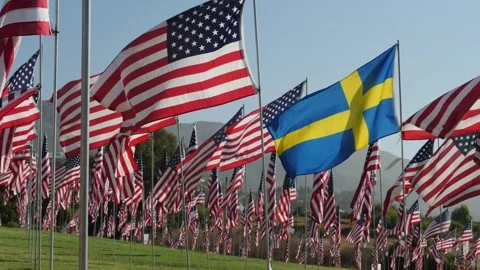 September 11th flag memorial Stock-Footage 315910594