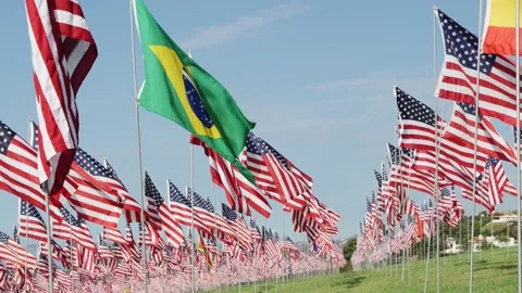 September 11th flag memorial in slow motion Stock-Footage 213623695