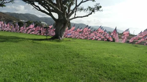 September 11th Stock Footage 239928783