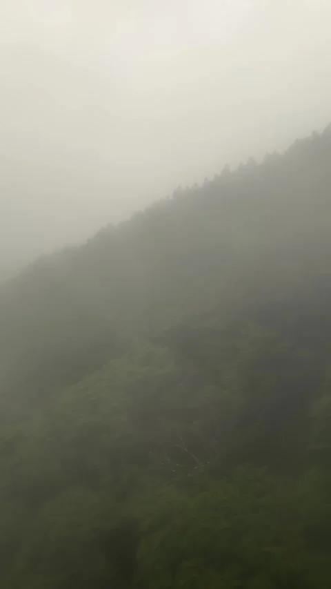 September 2 2026 Hakone Japan foggy forest mountain vertical high resolution Vidéo 344373247