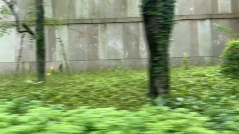 September 2 2026 Japan blurred green foliage train window 4K Vidéo 344374866