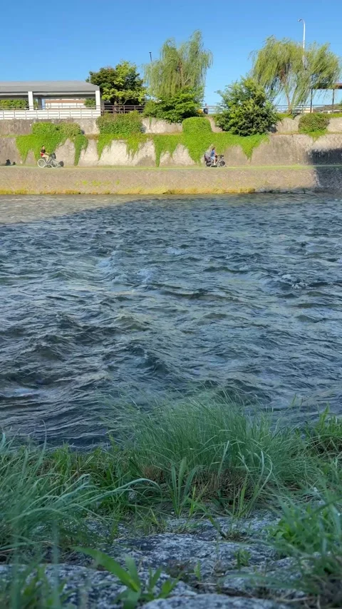 September 2 2026 Japan river current grassy bank vertical high resolution Vidéo 344379825