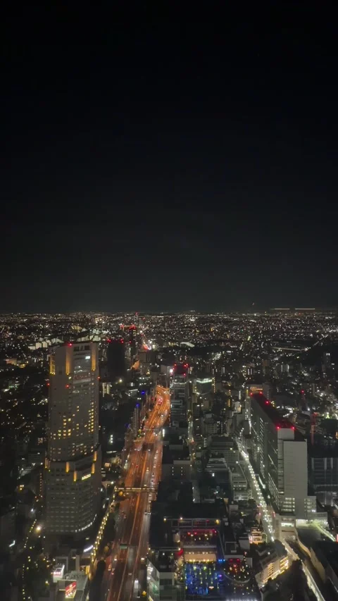 September 2 2026 Tokyo night vertical high resolution skyline Vidéo 344449267