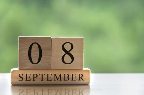 September 8 calendar date text on wooden blocks with copy space for ideas. Foto stock