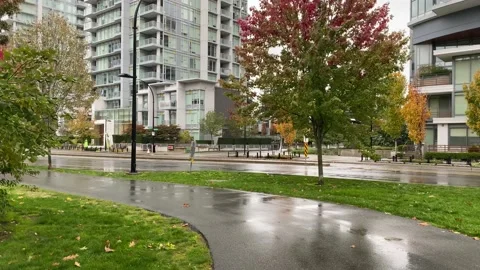 September City, Trafic, Stock Footage 162870616