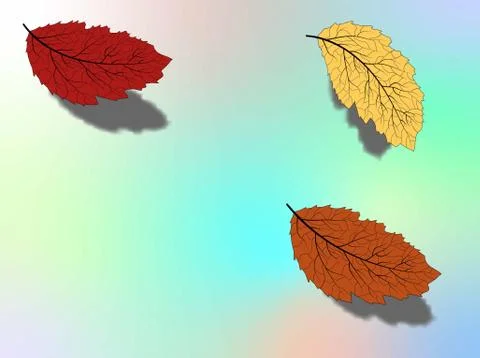 September fall. Autumn leaves vector. Beautiful autumn leaves background, gre Stock Illustration