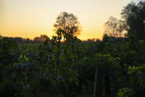 September sunset Stock Photos