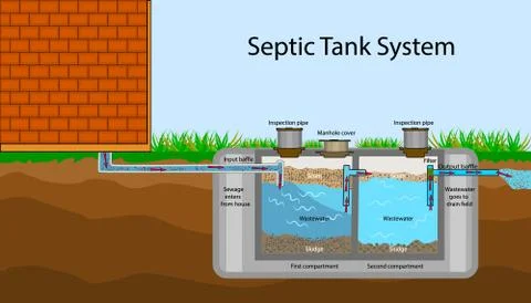 Septic Tank diagram. Septic system and drain field scheme. Stock Illustration