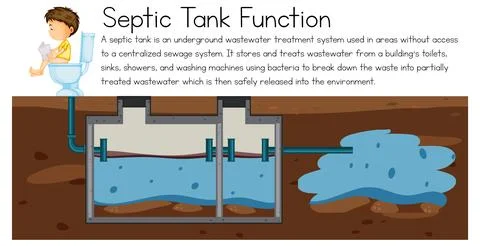 Septic Tank Function Explanation Stock Illustration