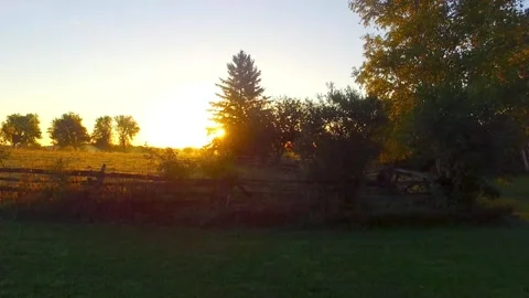 SeptSunrise aboveTreesHD Stock Footage 131780261