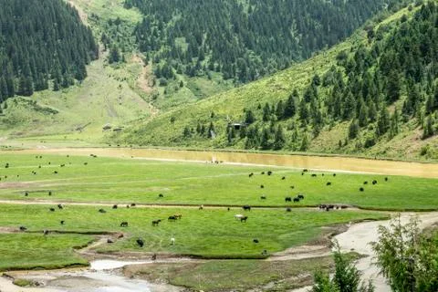 The Sequ river Stock Photos