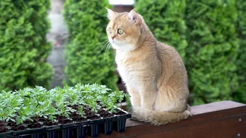 Sequence 01 10 Stock Footage 310623950