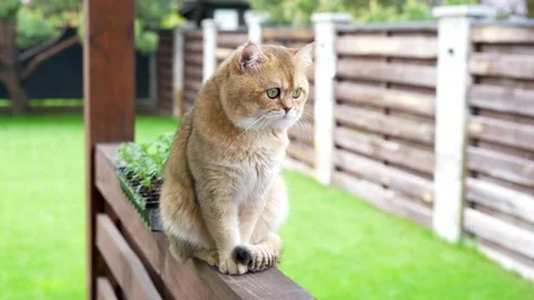 Sequence 01 11 Stock Footage 310622979