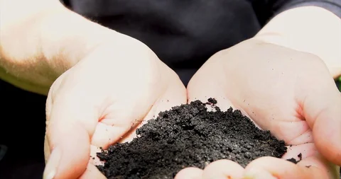 Sequence 01 19 Video stock 127741597