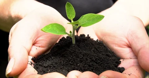 Sequence 01 20 Stock-Footage 127741592