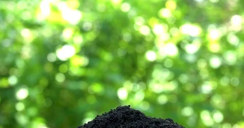 Sequence 01 25 Stock-Footage 127741599