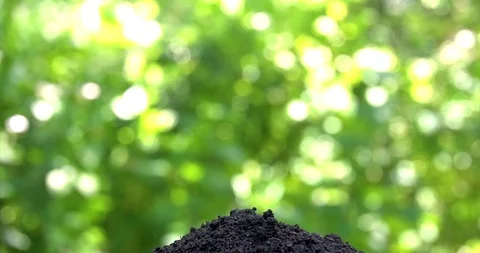 Sequence 01 26 Video stock 127741605