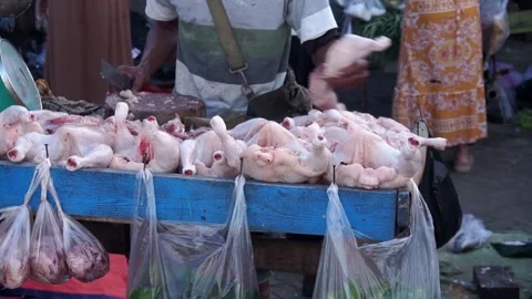 Sequence 01 5 Stock Footage 172277013